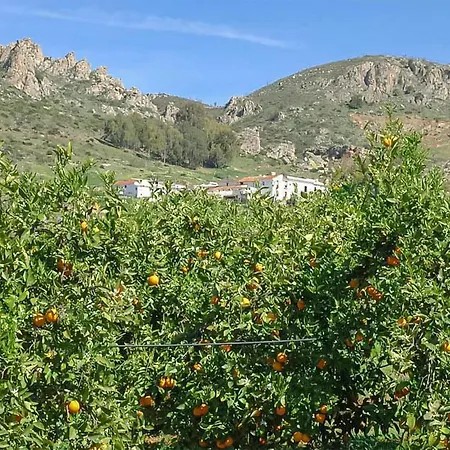 La Cuadra