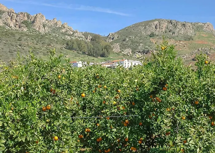 La Cuadra